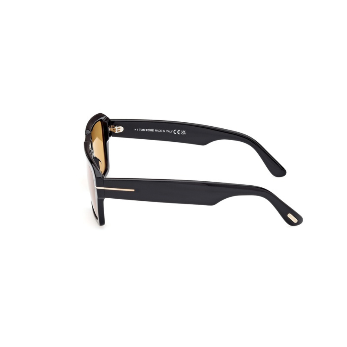 Tom Ford Shiny Black Plastic Sunglasses