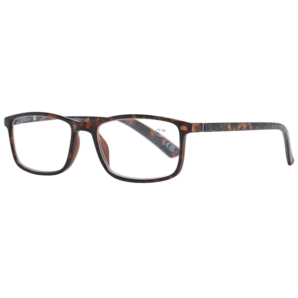 redrbr01720-53---2-0-dpt-.png