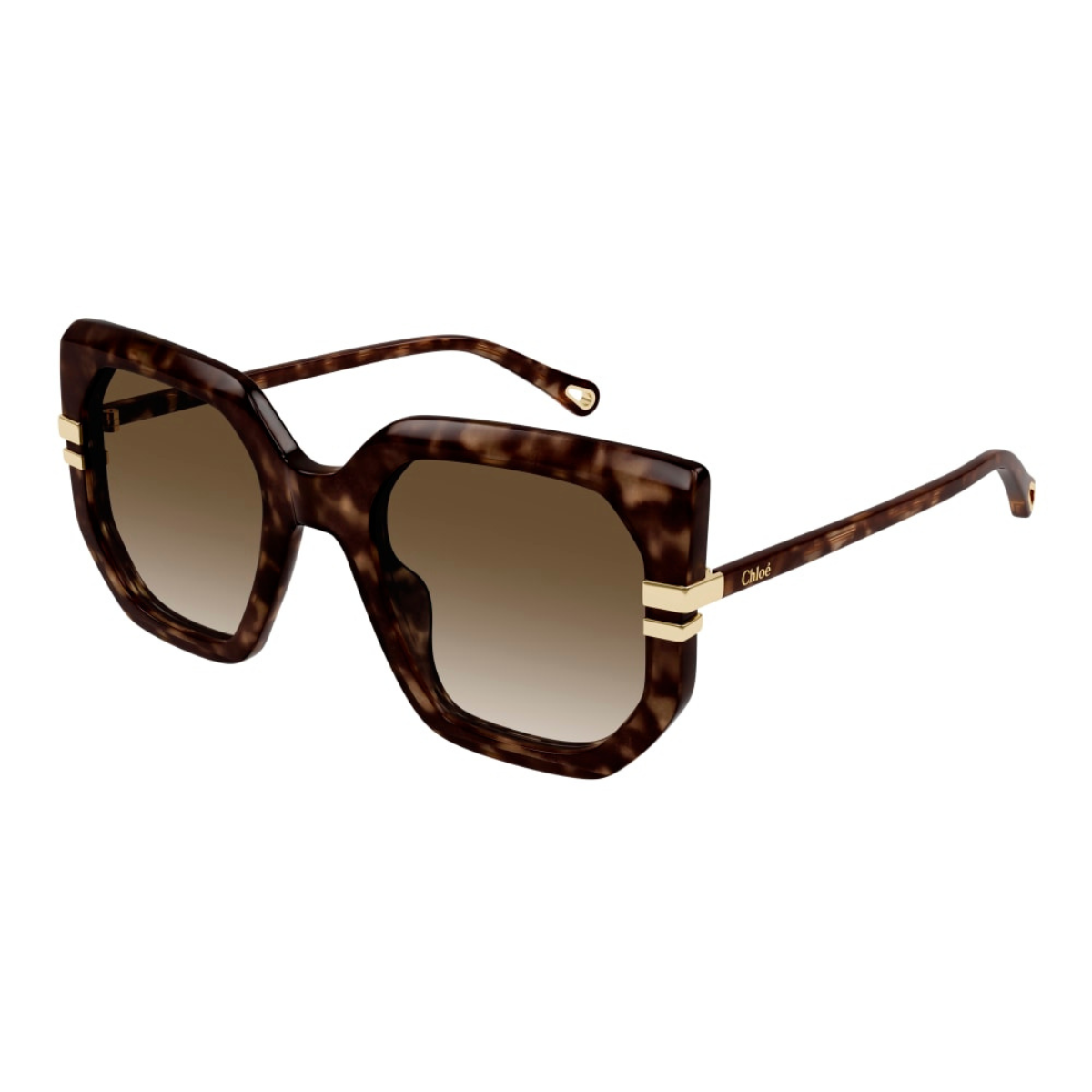 Chloe Havana Brown Plastic Sunglasses